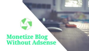 Read more about the article Monetize Blog Without Adsense