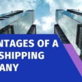 Advantages of a Dropshipping Company: Genuine Business Knowledge The image is a graphic related to Dropshipping Company.