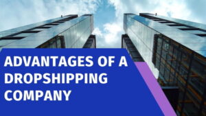 Read more about the article Advantages of a Dropshipping Company: Genuine Business Knowledge