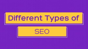 Read more about the article 4 Different Types of SEO: Increase Website Traffic