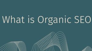 Read more about the article What is Organic SEO? ( Free Guide )