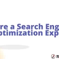 Hire a Search Engine Optimization Expert: Best Investment The image is a graphic related to search engine optimization expert.