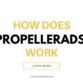 The image is a graphic related to: how does propellerads work.