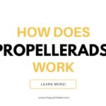 The image is a graphic related to: how does propellerads work.