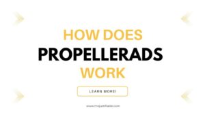 Read more about the article How Does PropellerAds Work: Simple Tutorial