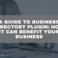 The image is a graphic related to Business Directory Plugin.