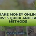 The image is a graphic related to Make Money Online Now.