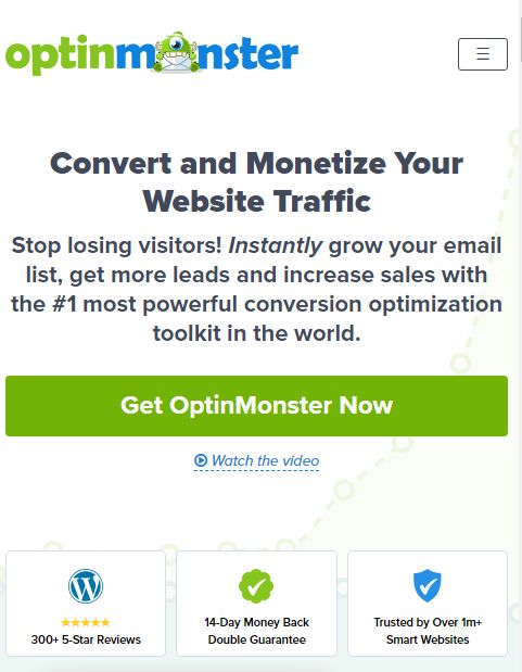 The image is a graphic related to OPTINMONSTER.
