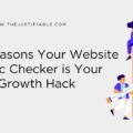 10 Reasons Your Website Traffic Checker is Your Best Growth Hack The image is a graphic related to website traffic checker.