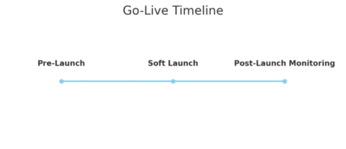 How to Migrate to Salesforce Commerce Cloud Without Issues An informative illustration about
Going Live With Confidence