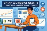 Cheap Ecommerce Website: What’s the Smartest Budget Choice?