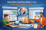 How Does SaleHoo Work to Find Profitable Products Fast?
