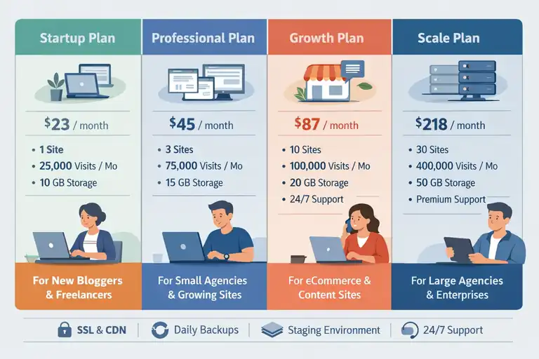 An informative illustration about Breaking Down Each WP Engine Plan and Cost