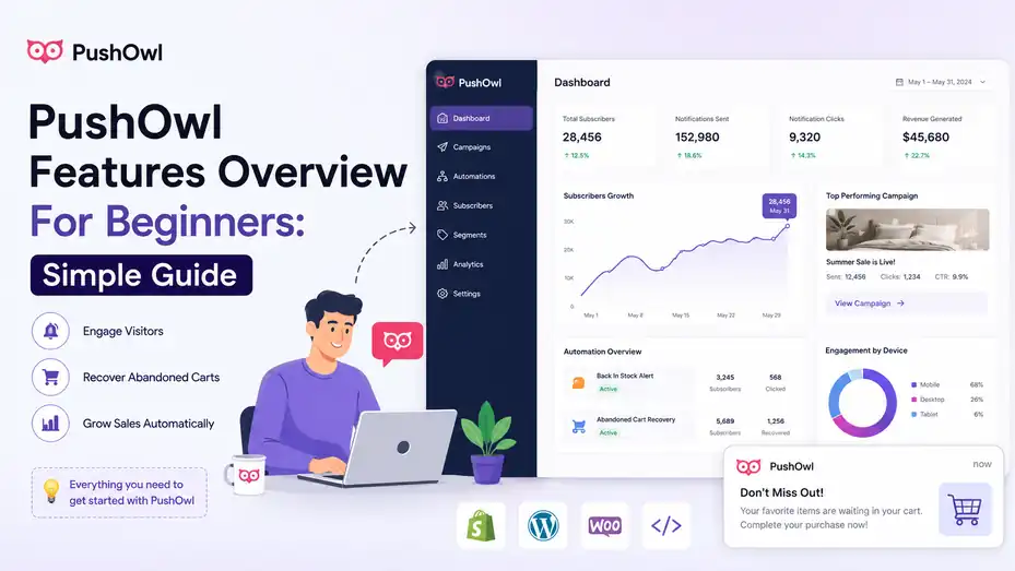 An informative illustration about PushOwl Features Overview For Beginners Simple Guide
