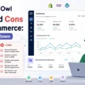 An informative illustration about PushOwl Pros And Cons For Ecommerce: Honest Breakdown