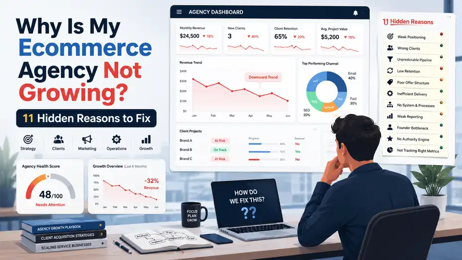 An informative illustration about Why Is My Ecommerce Agency Not Growing? 11 Hidden Reasons to Fix