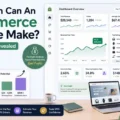 How Much Can An Ecommerce Website Make? Real Numbers Revealed An informative illustration about How Much Can An Ecommerce Website Make? Real Numbers Revealed