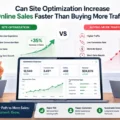 An informative illustration about Can Site Optimization Increase Online Sales Faster Than Buying More Traffic?