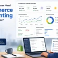 Do Small Businesses Need Ecommerce Accounting To Stay Profitable? An informative illustration about Do Small Businesses Need Ecommerce Accounting To Stay Profitable?