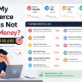 Why Is My Ecommerce Business Not Making Money? 11 Hidden Profit Killers An informative illustration about Why Is My Ecommerce Business Not Making Money? 11 Hidden Profit Killers