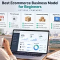 Best Ecommerce Business Model for Beginners: Options Compared An informative illustration about Best Ecommerce Business Model for Beginners: Options Compared