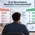 Is An Ecommerce Business Oversaturated Or Are Opportunities Still Everywhere? An informative illustration about Is An Ecommerce Business Oversaturated Or Are Opportunities Still Everywhere?