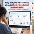 Why Is My Online Shopping Website Not Getting Sales? 12 Likely Causes An informative illustration about Why Is My Online Shopping Website Not Getting Sales? 12 Likely Causes